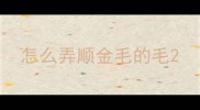 怎么弄顺金毛的毛