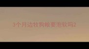 3个月边牧狗粮要泡软吗