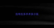 拉布拉多手术多少钱