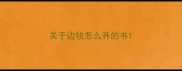 关于边牧怎么养的书