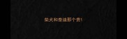 柴犬和泰迪那个贵