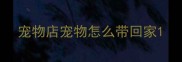 宠物店宠物怎么带回家