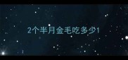 2个半月金毛吃多少