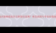 泰迪犬接种疫苗后注射部位发黑常见原因与专业处理指南