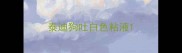 泰迪狗吐白色粘液
