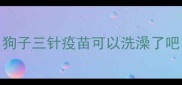 狗子三针疫苗可以洗澡了吧