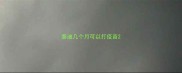 泰迪几个月可以打疫苗