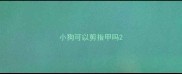 小狗可以剪指甲吗