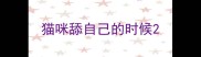 猫咪舔自己的时候