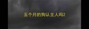 五个月的狗认主人吗