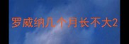 罗威纳几个月长不大
