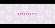 拉布拉多应该怎么打针