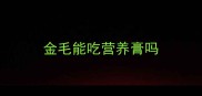 金毛能吃营养膏吗