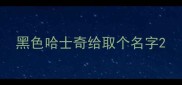 黑色哈士奇给取个名字