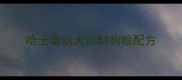 哈士奇幼犬自制狗粮配方
