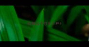 松狮五个月多少斤