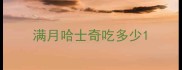 满月哈士奇吃多少