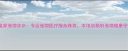 南宁皇家宠物诊所专业宠物医疗服务推荐本地信赖的宠物健康守护者