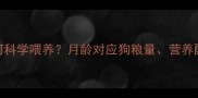 哈士奇2个月大如何科学喂养月龄对应狗粮量营养配比及注意事项全