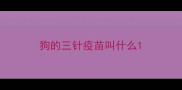 狗的三针疫苗叫什么