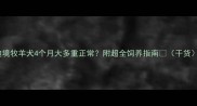 边境牧羊犬4个月大多重正常附超全饲养指南干货