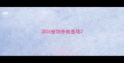 深圳宠物养殖基地