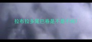 拉布拉多尾巴卷是不是不纯