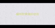 猫咪肝衰竭的症状