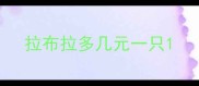 拉布拉多几元一只