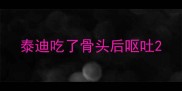 泰迪吃了骨头后呕吐