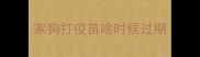 家狗打疫苗啥时候过期