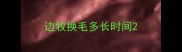 边牧换毛多长时间