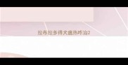 拉布拉多得犬瘟热咋治