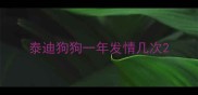 泰迪狗狗一年发情几次