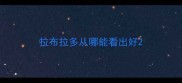 拉布拉多从哪能看出好