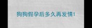 狗狗假孕后多久再发情