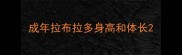 成年拉布拉多身高和体长
