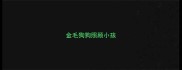 金毛狗狗照顾小孩