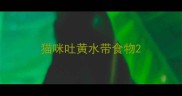 猫咪吐黄水带食物
