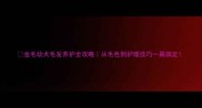 金毛幼犬毛发养护全攻略从毛色到护理技巧一篇搞定