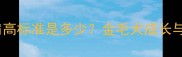 13个月金毛肩高标准是多少金毛犬成长与饲养全指南
