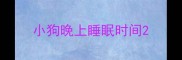 小狗晚上睡眠时间