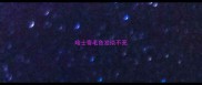 哈士奇毛色发淡不亮