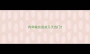 狗狗做完疫苗几天出门