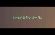 边牧能卖多少钱一只