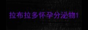 拉布拉多怀孕分泌物
