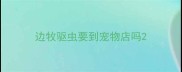 边牧驱虫要到宠物店吗