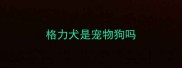 格力犬是宠物狗吗