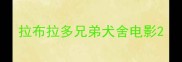 拉布拉多兄弟犬舍电影