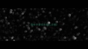 猫咪手掌受伤包扎步骤